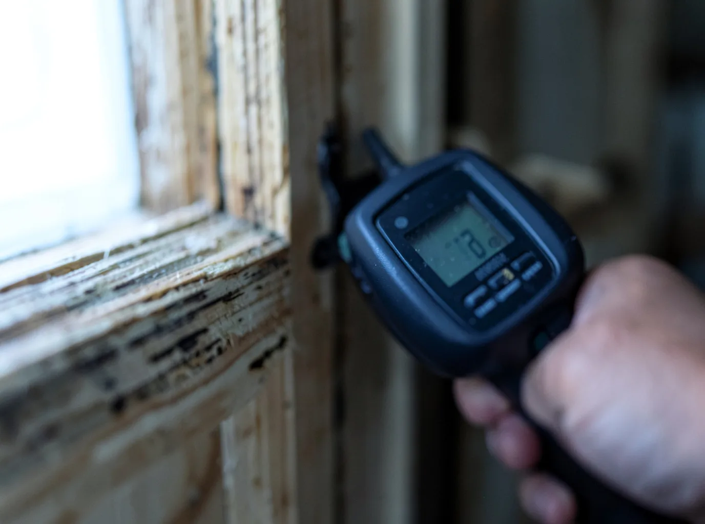 Moisture Inspection And Documentation in Waucoma, IA